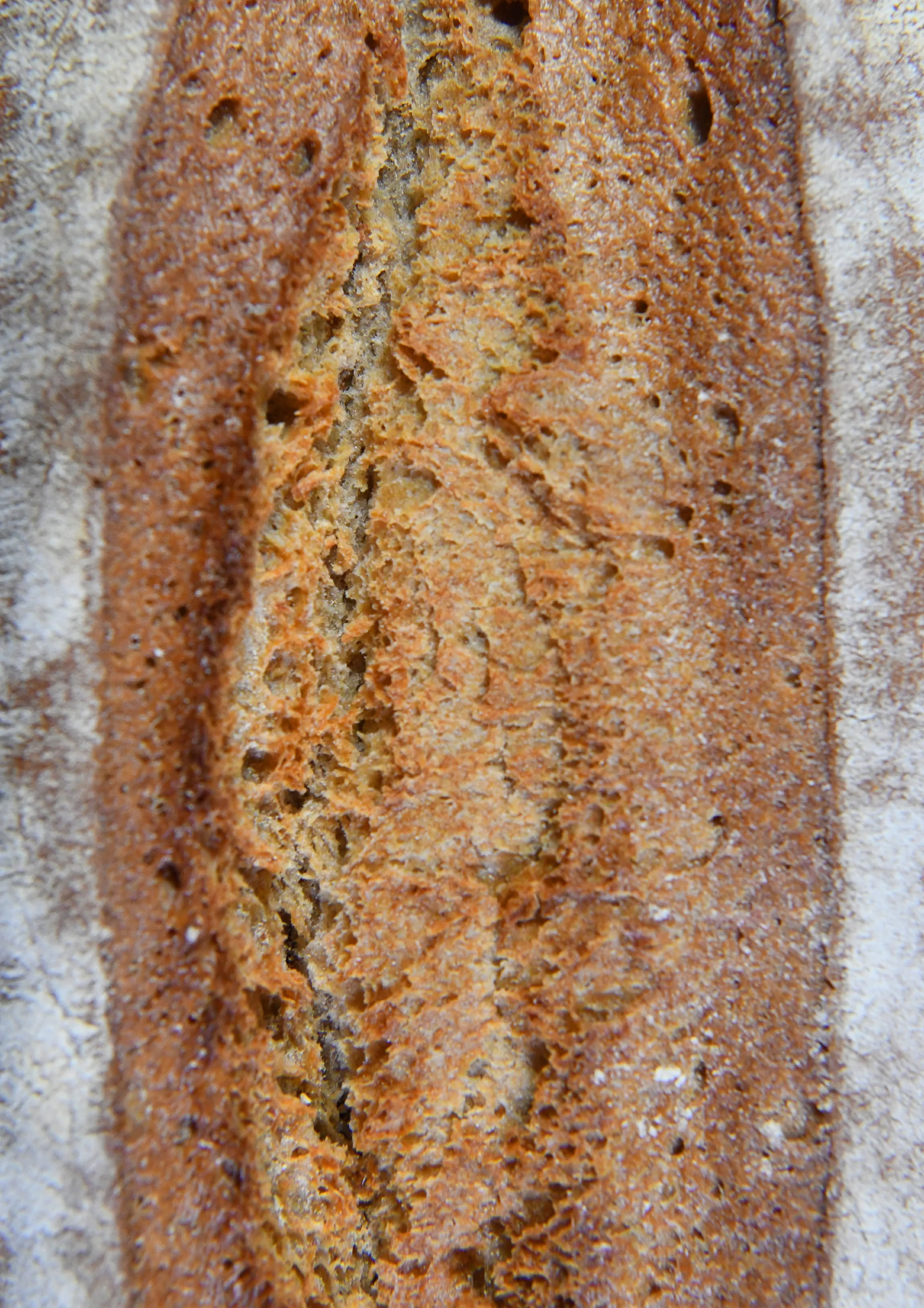 Editorial Layout Design — Bread 2