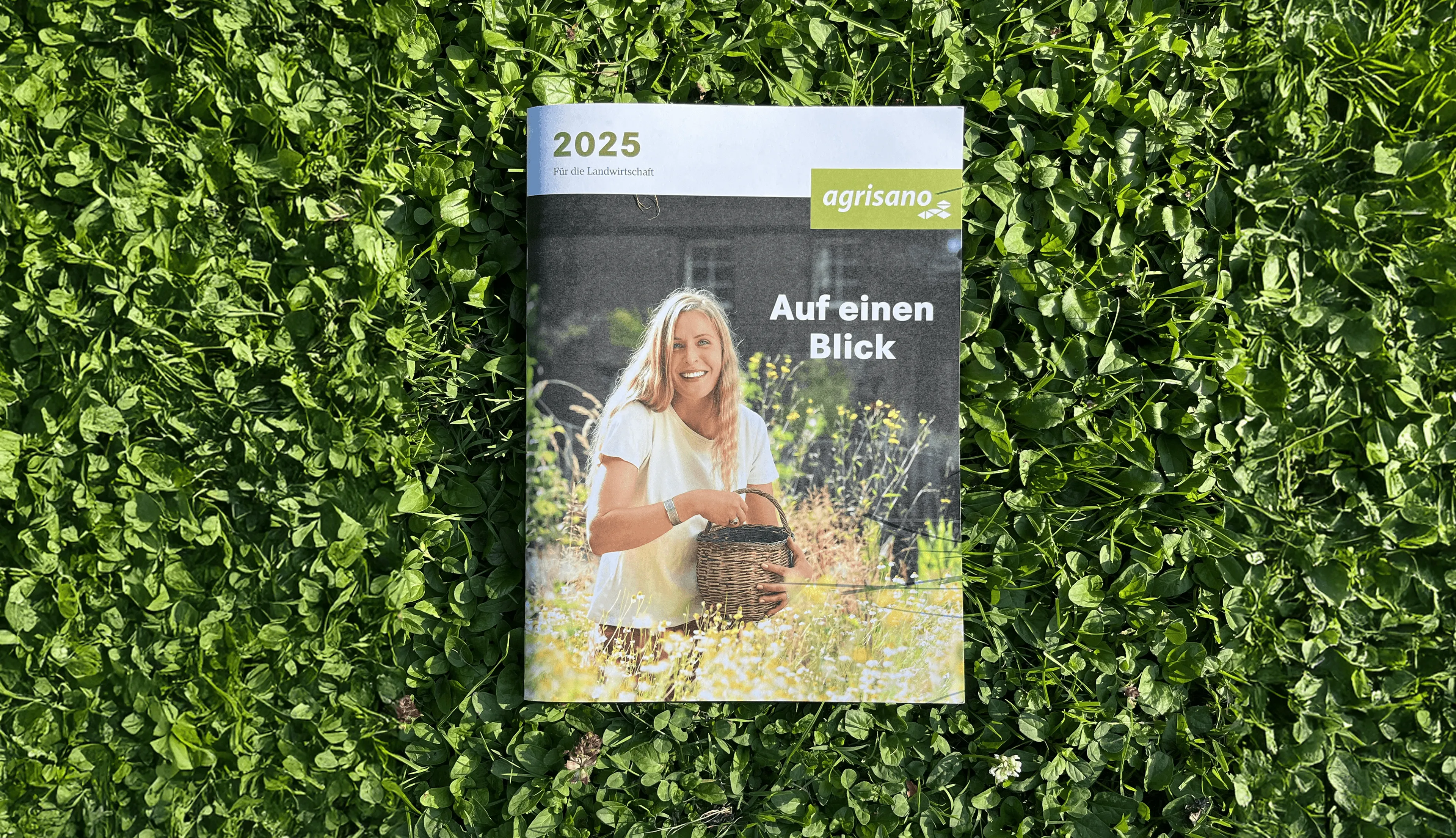 Agrisano brochure layout design