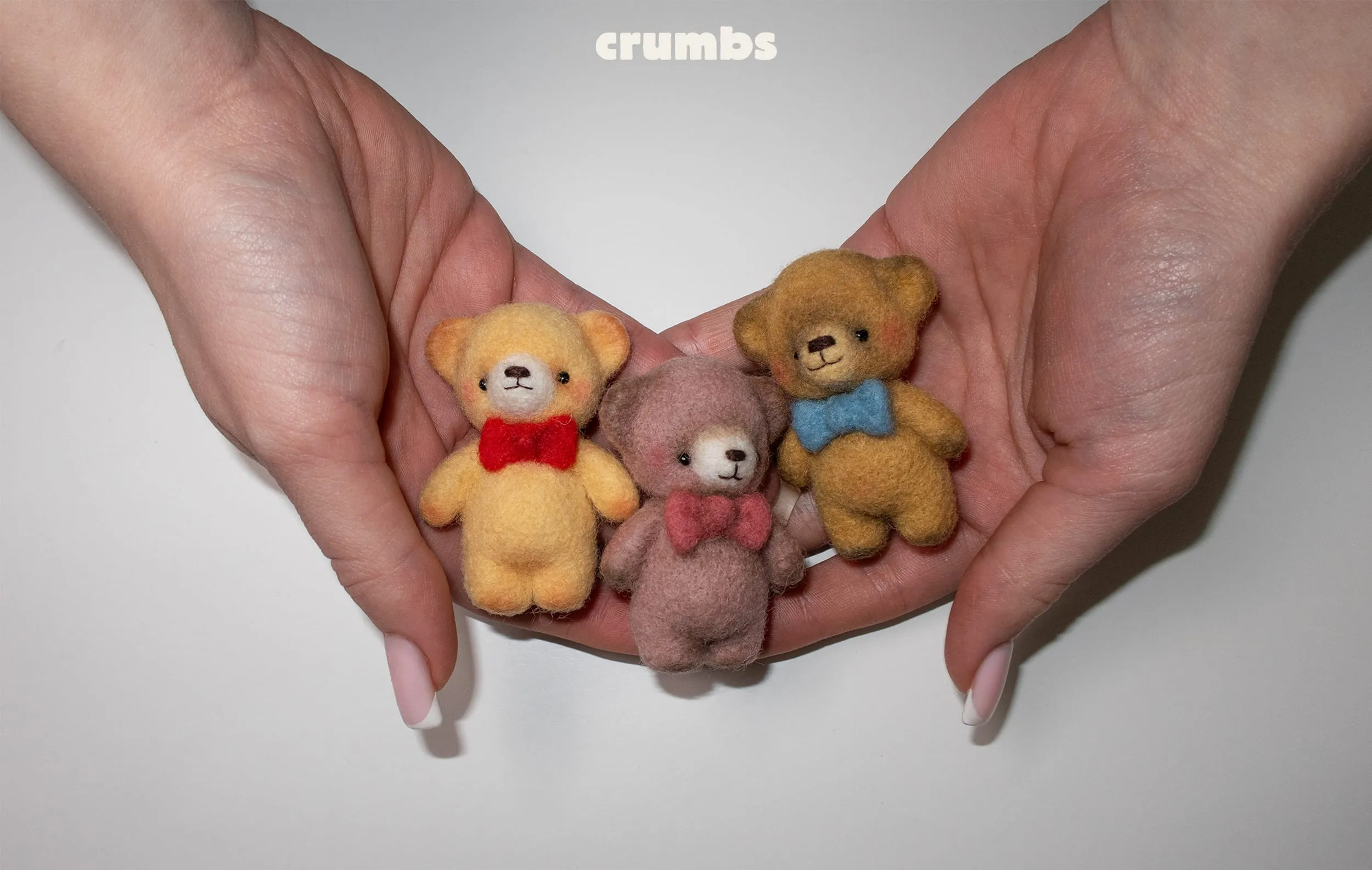Crumbs Brand Identity Hero
